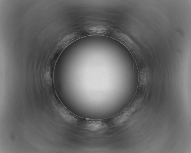 X0000112370377200908131523