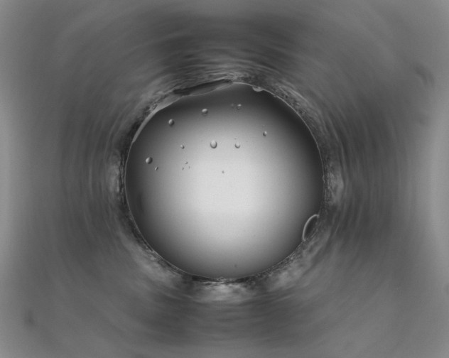 X0000112370379200908131523