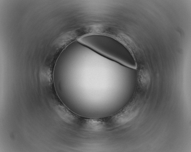 X0000112370380200908131523