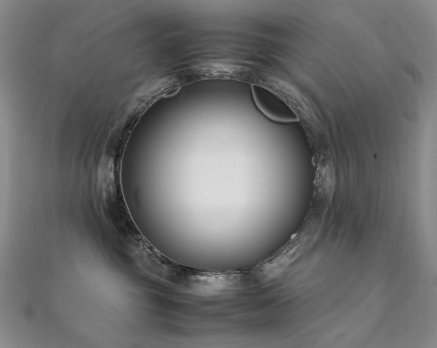 X0000112370381200908131523