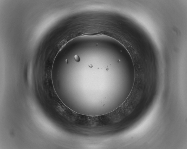 X0000112370382200908131523