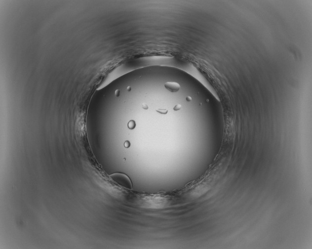 X0000112370383200908131523