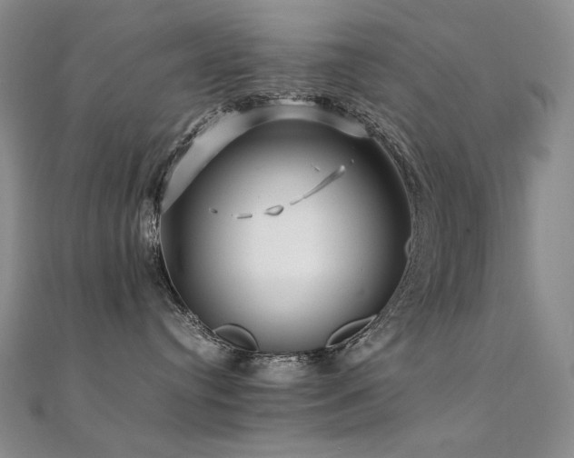 X0000112370384200908131523