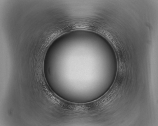 X0000112370385200908131522