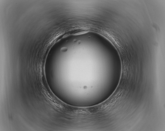 X0000112370386200908131522