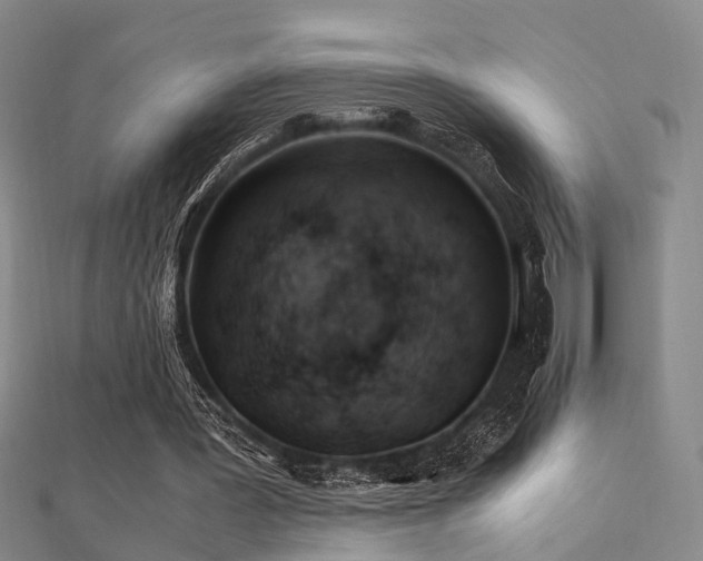 X0000112370387200908131522