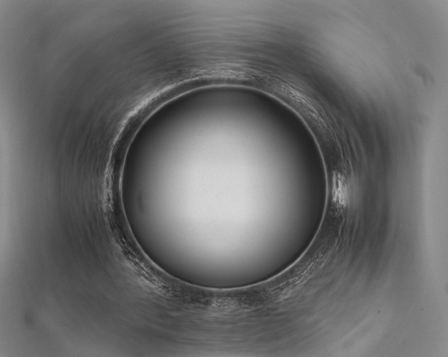 X0000112370388200908131522