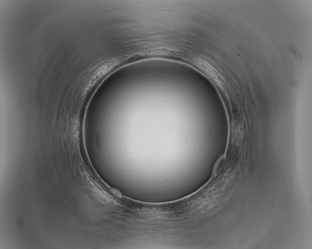 X0000112370389200908131522