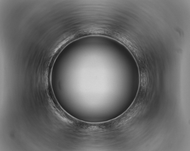 X0000112370390200908131522