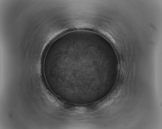 X0000112370391200908131522