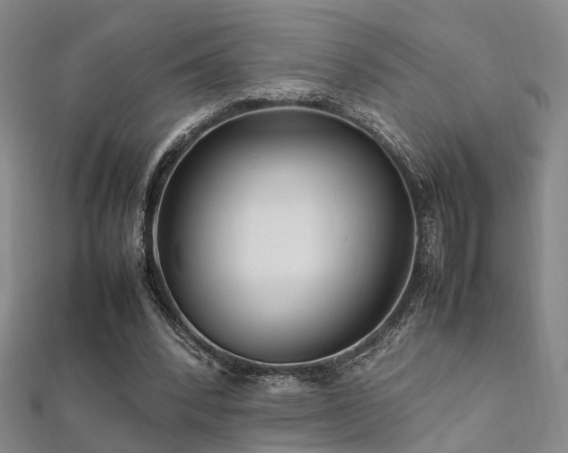 X0000112370392200908131522