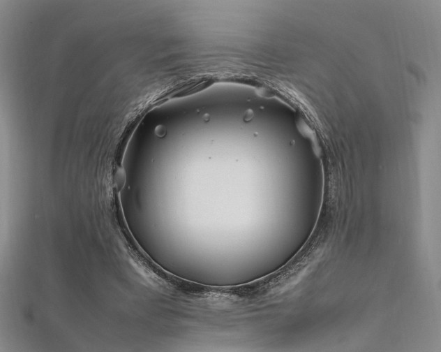 X0000112370393200908131522