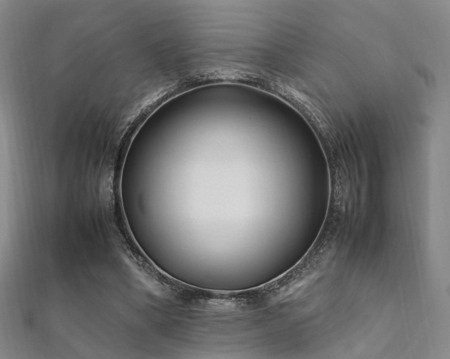 X0000112370394200908131522