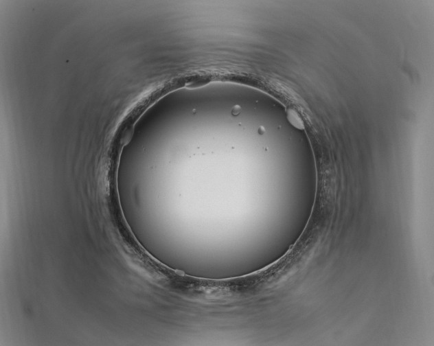 X0000112370395200908131522