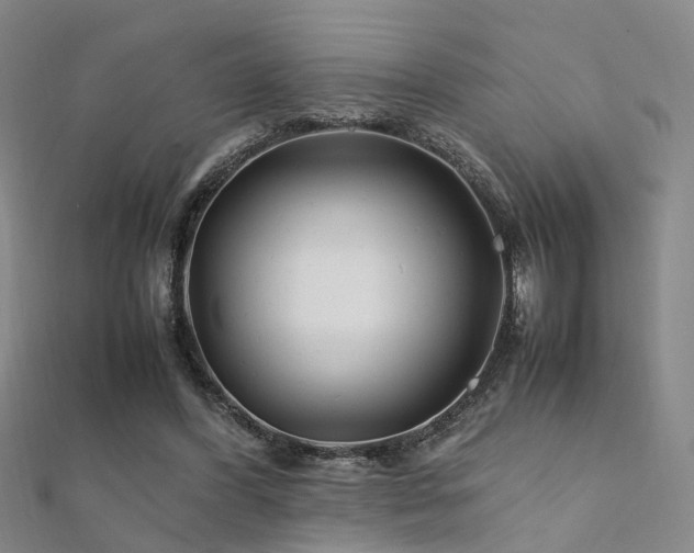 X0000112370396200908131522