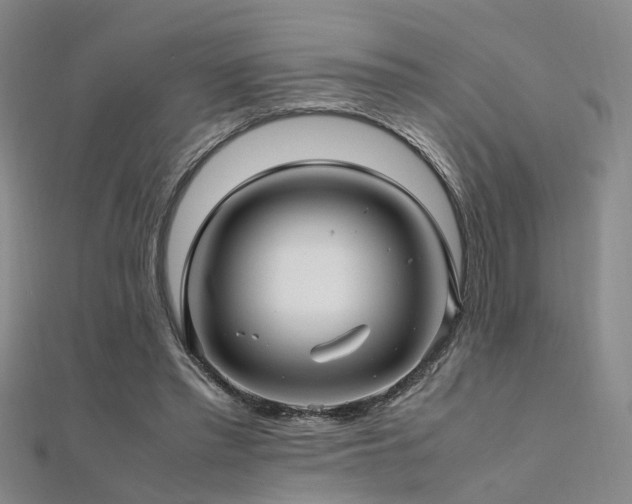 X0000112370397200908131522