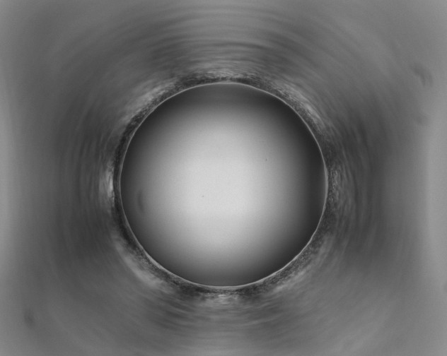 X0000112370398200908131522