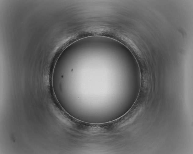 X0000112370399200908131522