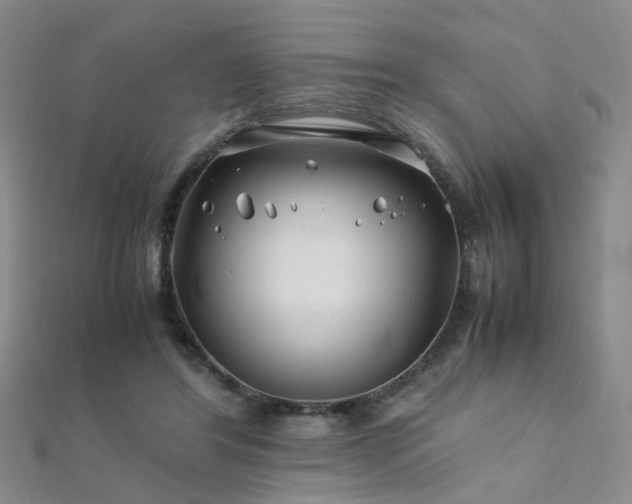 X0000112370404200908131522