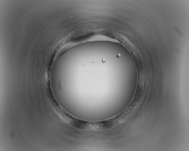 X0000112370405200908131522