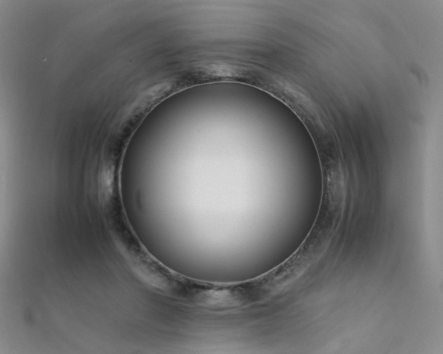 X0000112370406200908131522