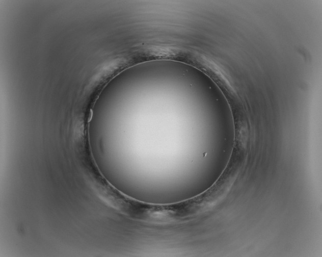 X0000112370407200908131522