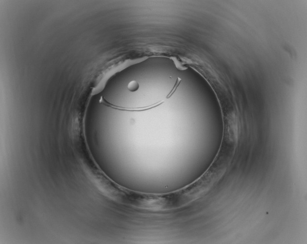 X0000112370410200908131522