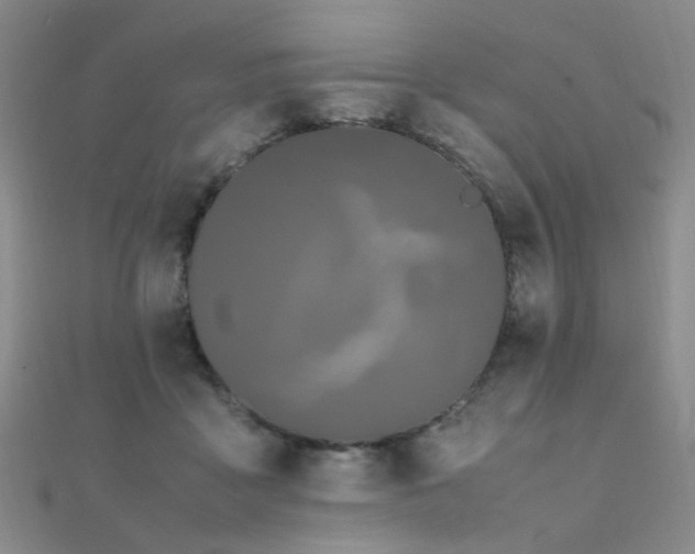 X0000112370411200908131522