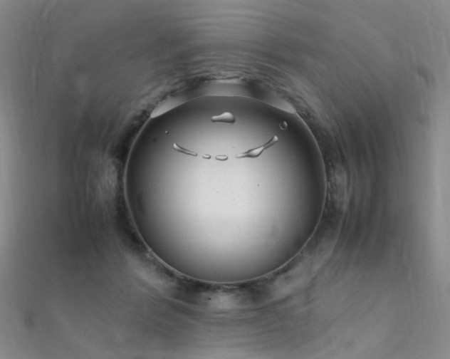 X0000112370412200908131522