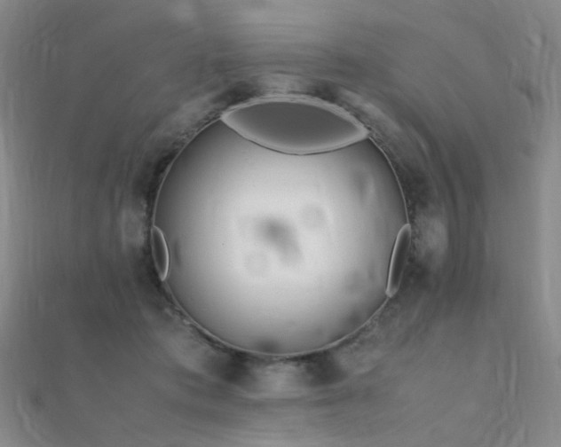 X0000112370413200908131522