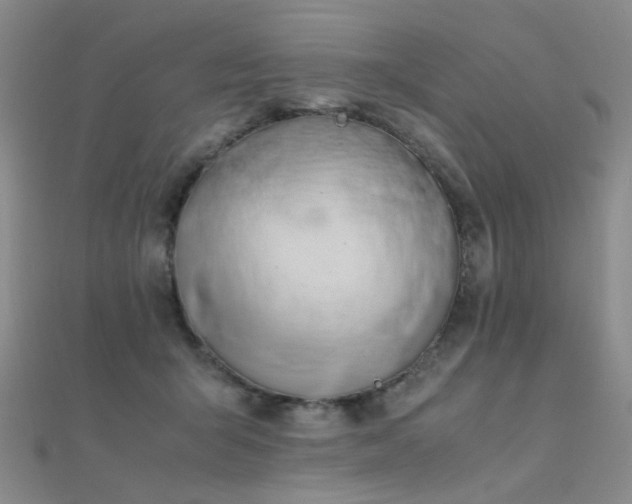 X0000112370415200908131522