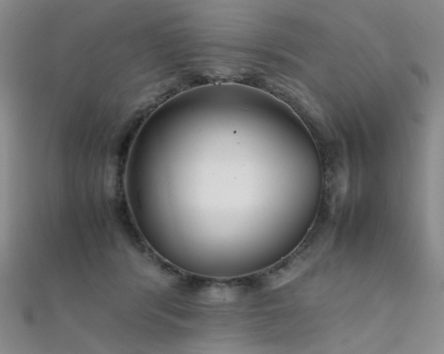 X0000112370416200908131522