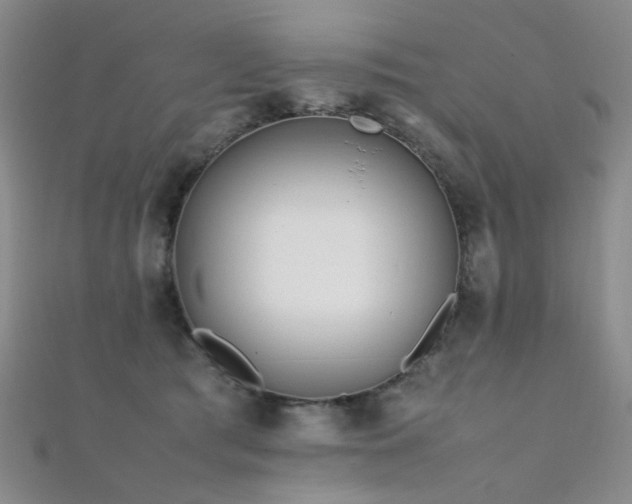 X0000112370417200908131522