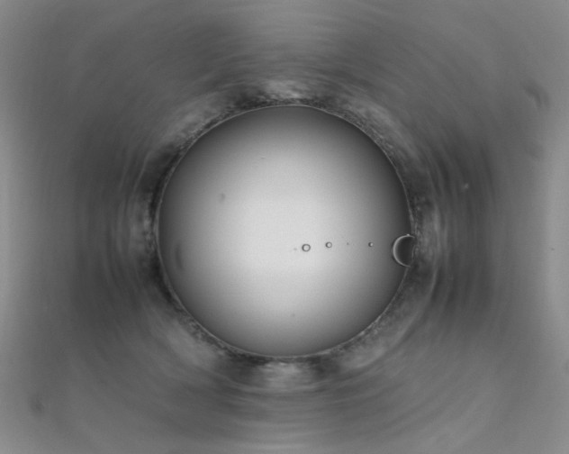 X0000112370418200908131522