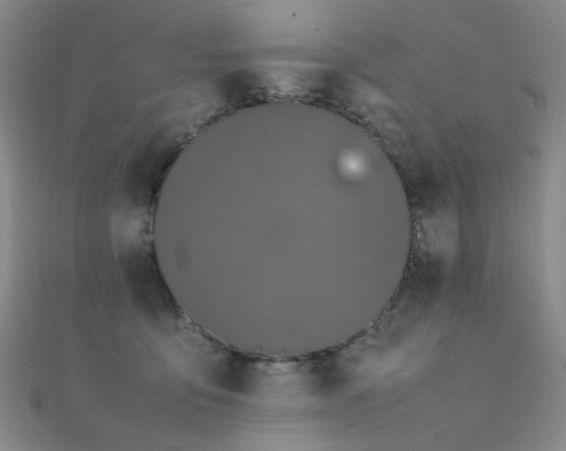 X0000112370419200908131522