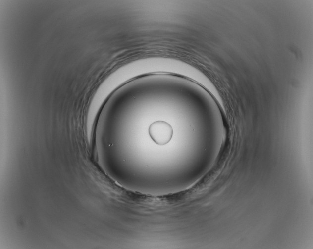 X0000112370421200908131522