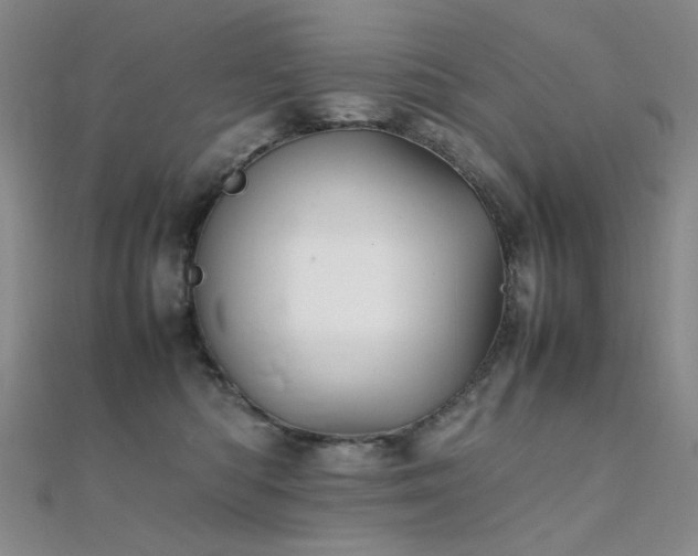 X0000112370422200908131522