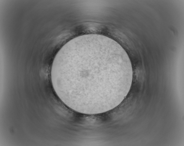 X0000112370423200908131522