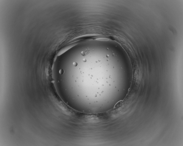 X0000112370424200908131522