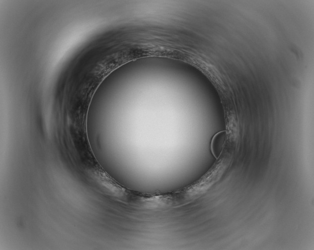 X0000112370430200908131521