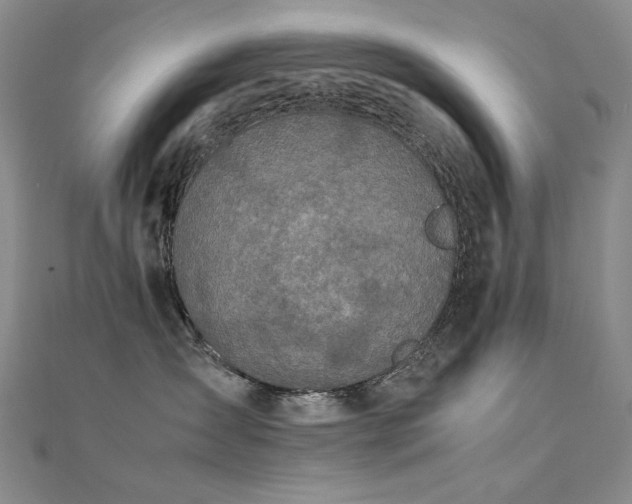 X0000112370431200908131521