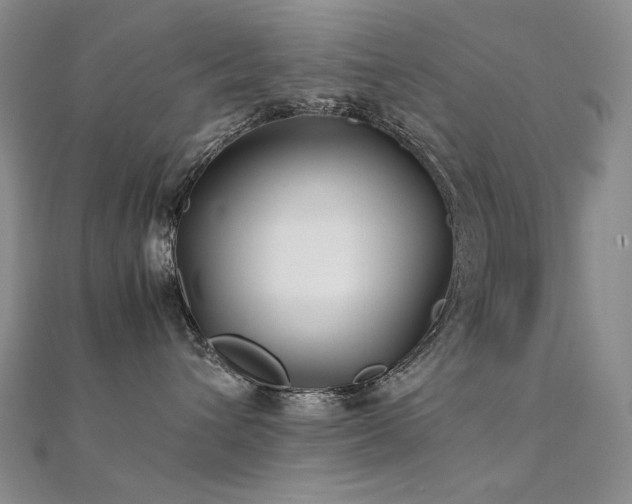 X0000112370432200908131521