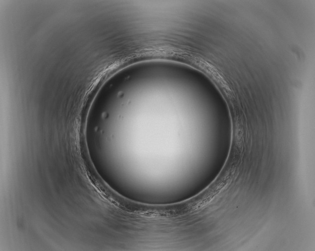 X0000112370434200908131521