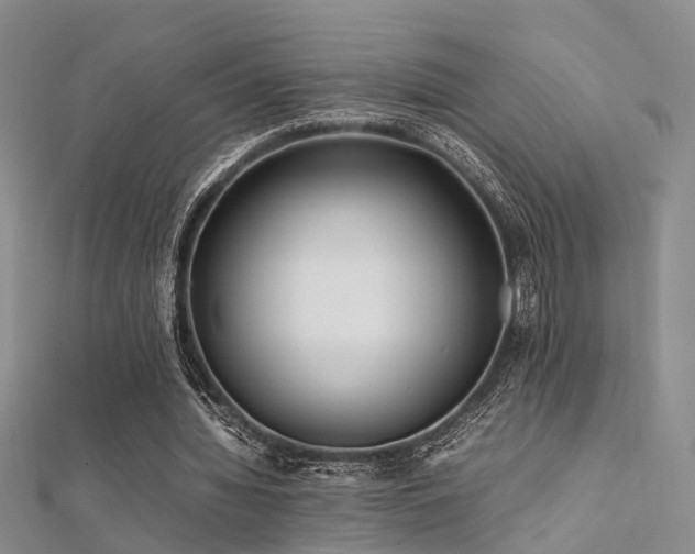 X0000112370436200908131521