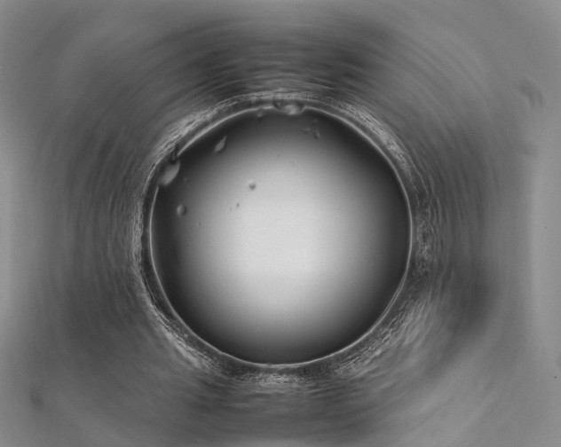 X0000112370437200908131521