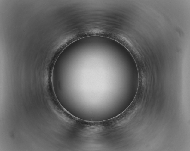 X0000112370447200908131521