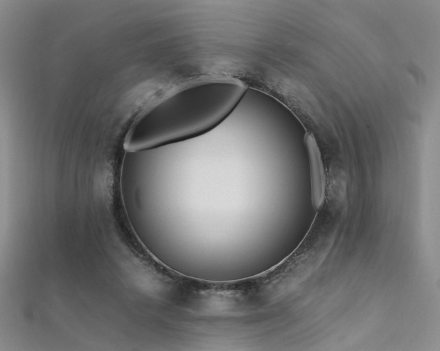 X0000112370448200908131521