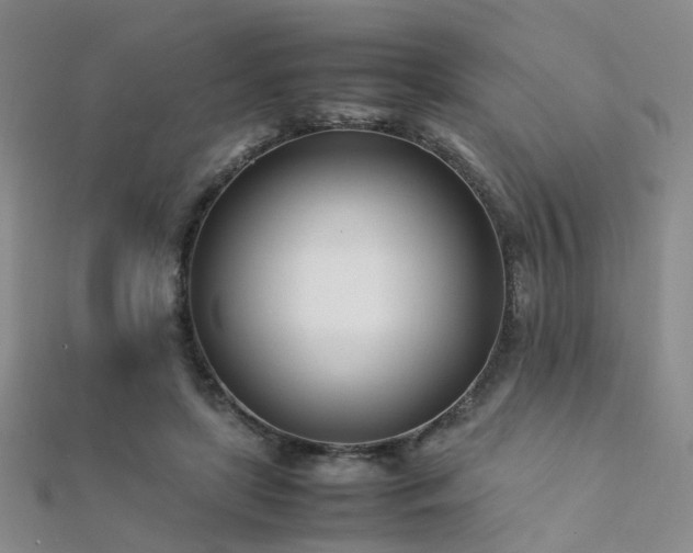 X0000112370451200908131521