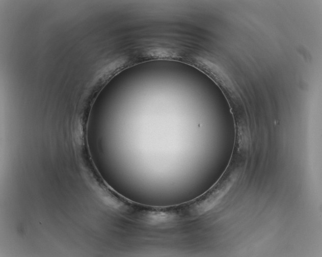 X0000112370453200908131521