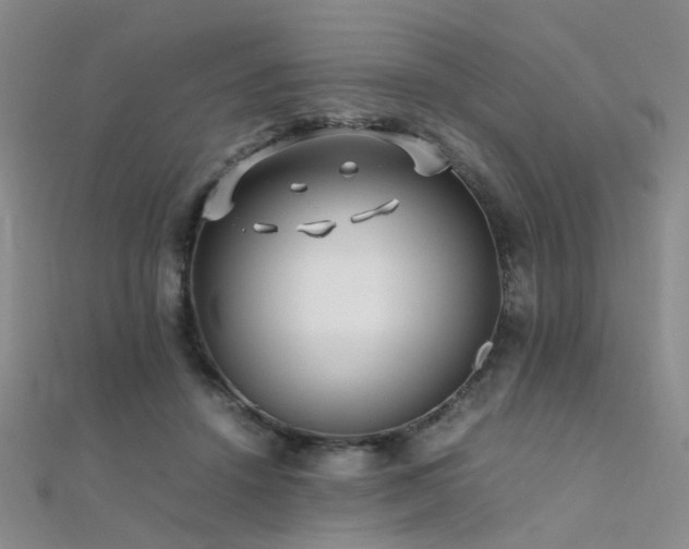 X0000112370456200908131521